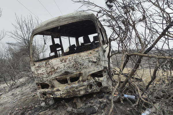 Algeria Wildfires