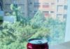 「冰淇淋汽水」複製女主角味道。